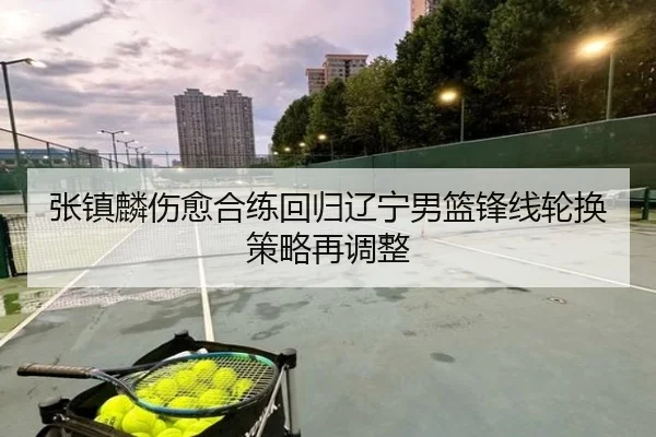 张镇麟伤愈合练回归辽宁男篮锋线轮换策略再调整